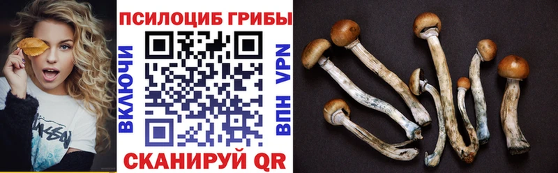 даркнет сайт  MEGA рабочий сайт  Псилоцибиновые грибы Psilocybe  Новокубанск 